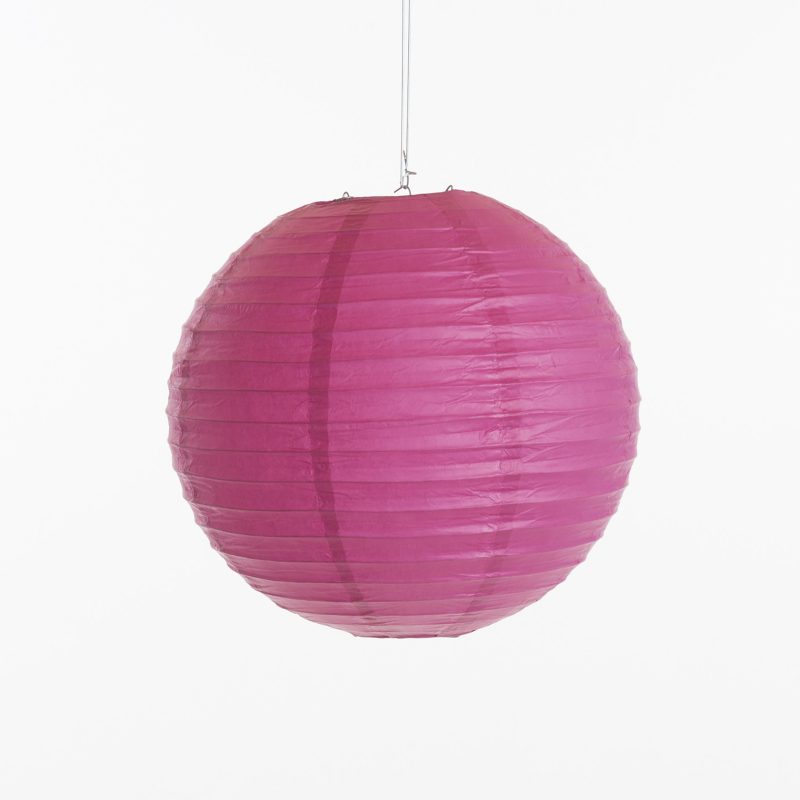 Fuchsia 2